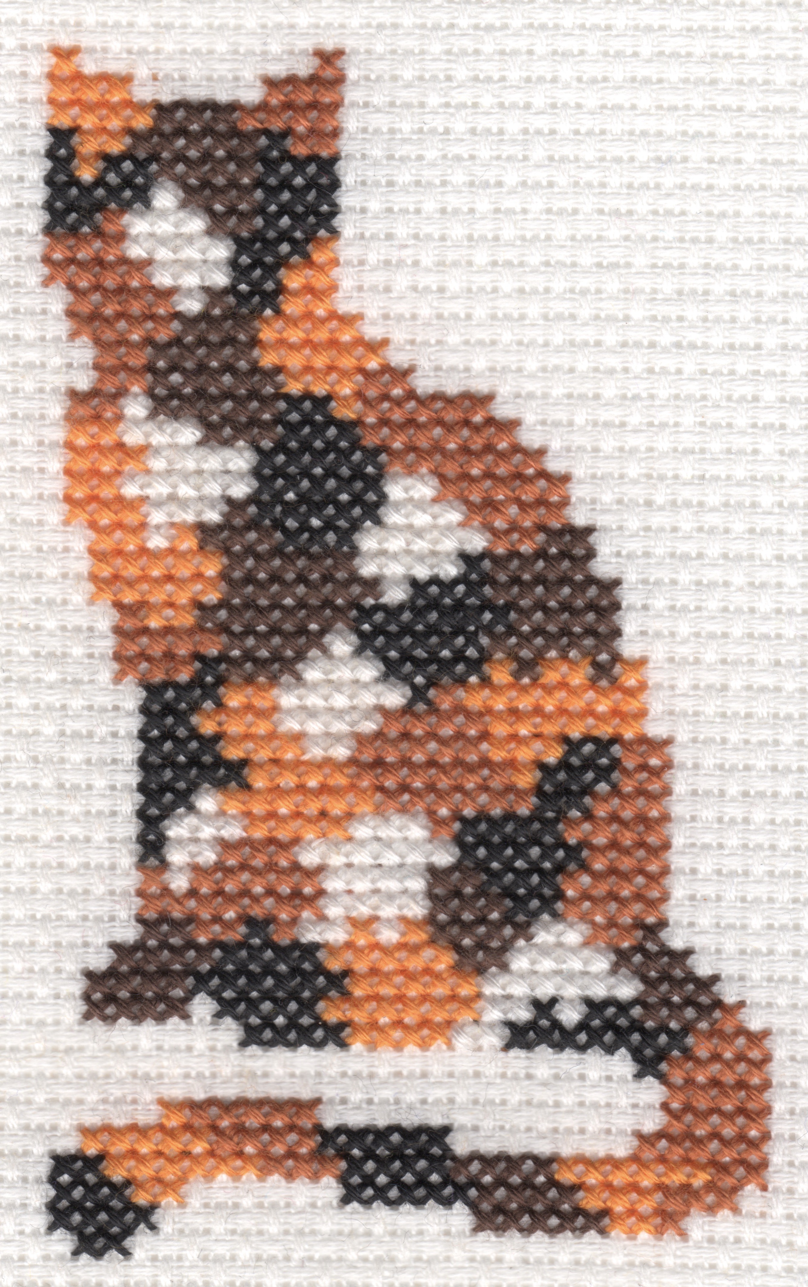 Easy Tortoiseshell Cat Cross Stitch Kit - Nicky Brunger Crafts