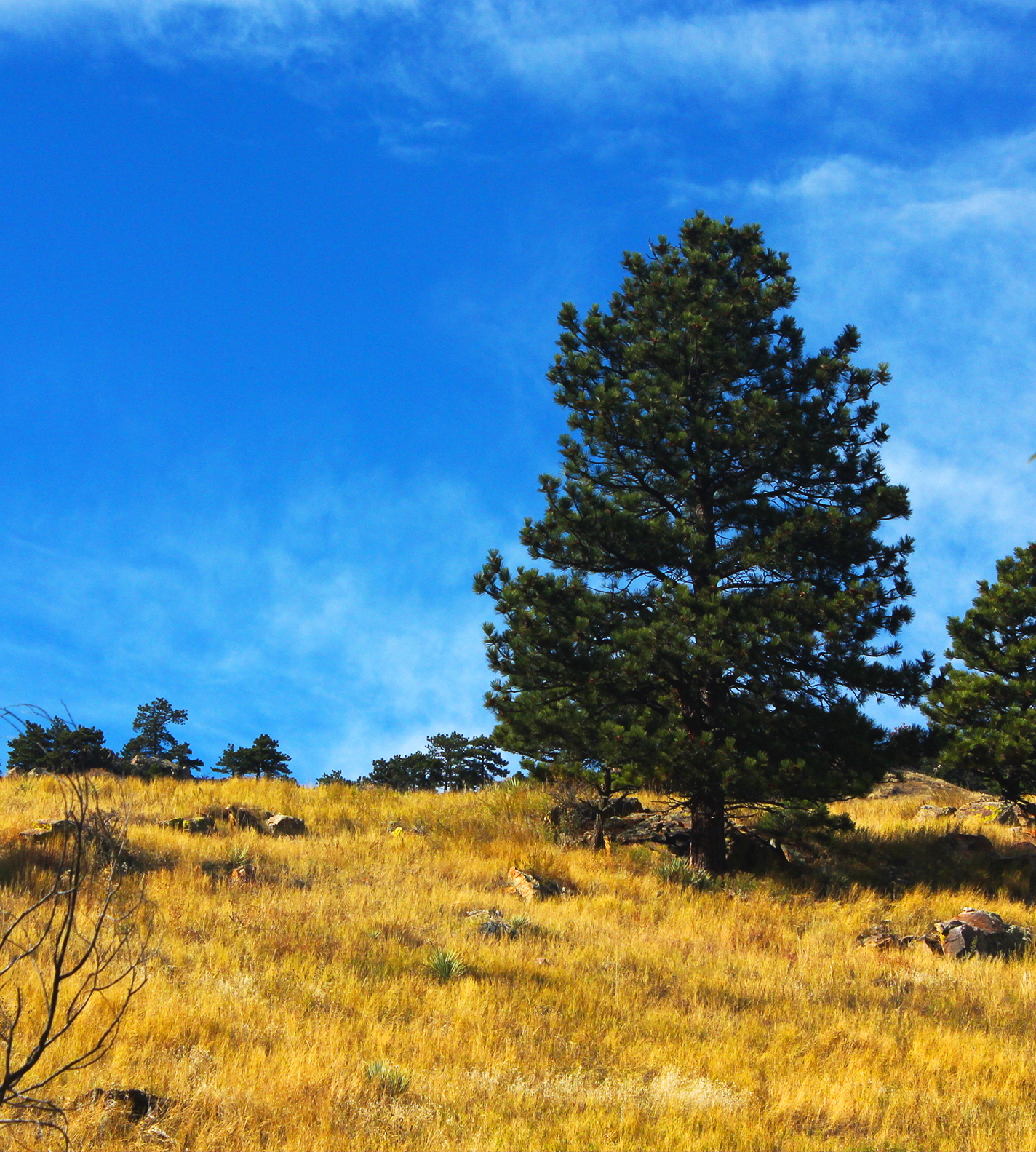 Before and after winter snow