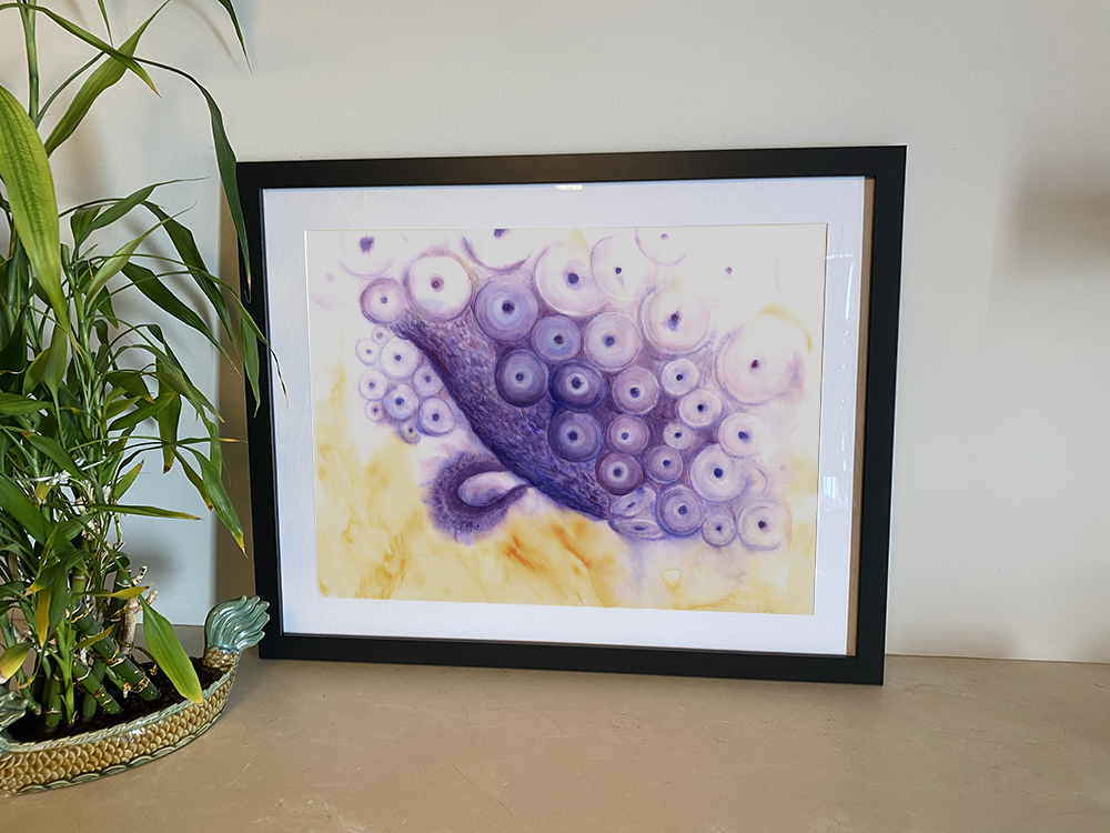 Collect » Artwork Nicole Hanusek