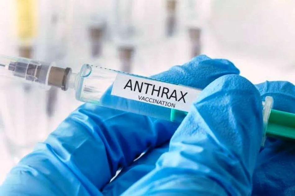 Anthrax Outbreak: FAO strengthens partnership with Nigeria