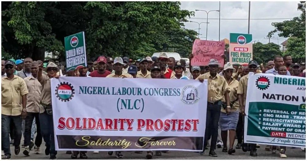Warning Strike: We achieved our goal, says NLC