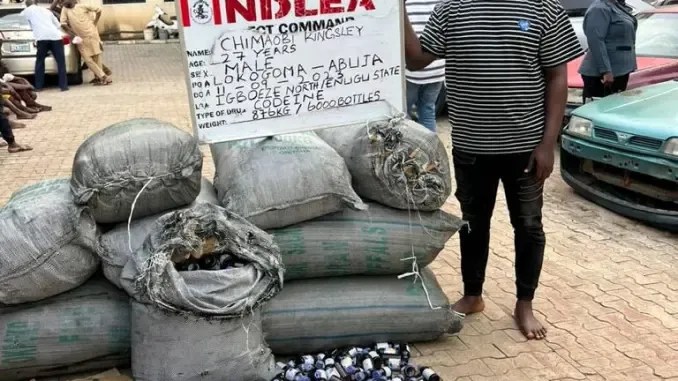 NDLEA Busts 6,600 Bottles Of Codeine, Nabs 8 Suspects