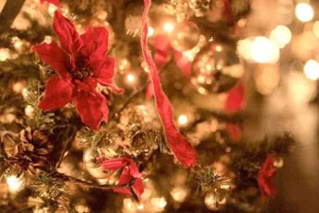 必見 クリぼっちでも寂しくないクリスマス イブの過ごし方 非リア あめざきちゃんねる