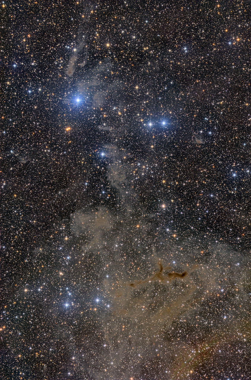 LDN 1296 - Interstellar dust as a landscape of its own