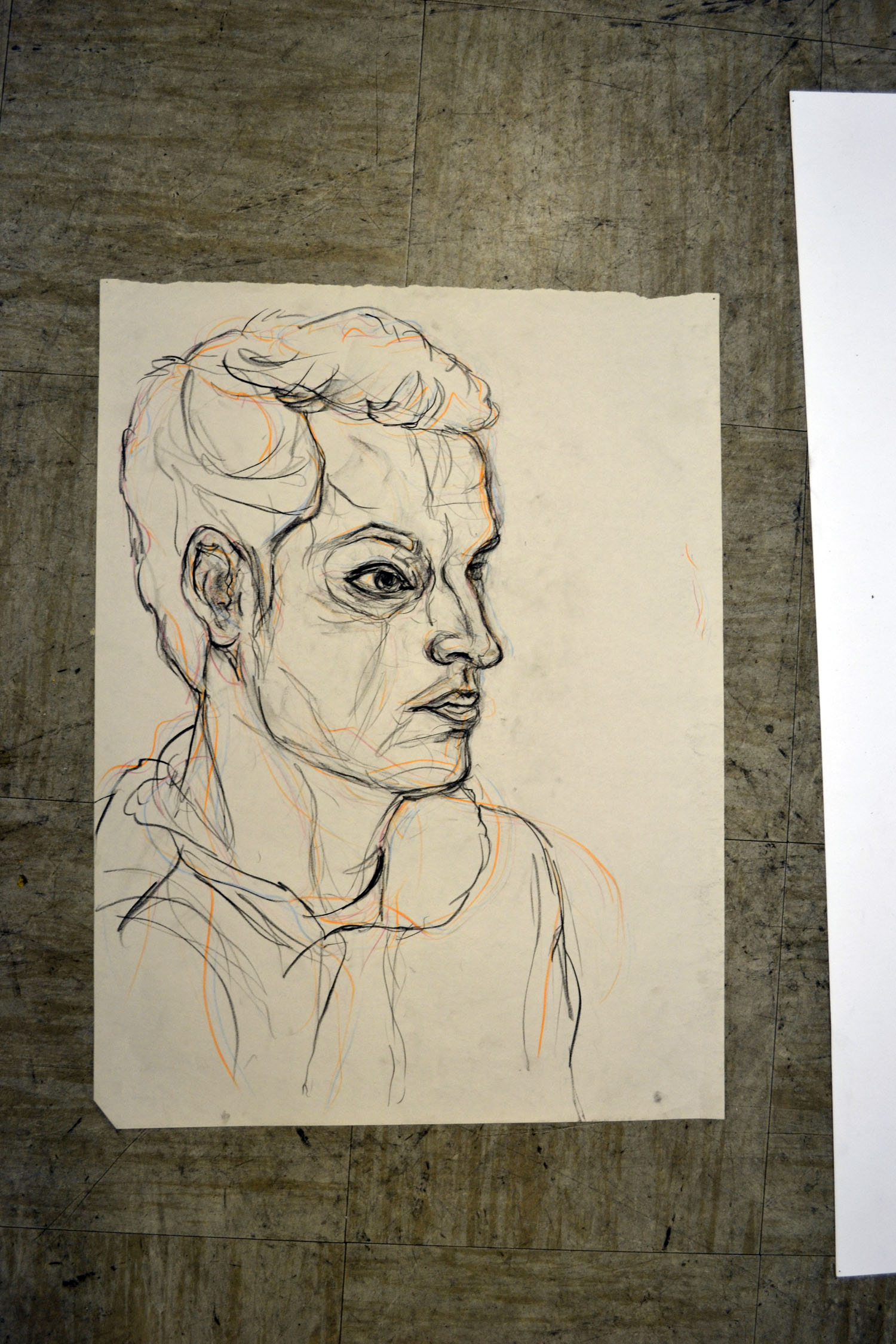 quick study portraits