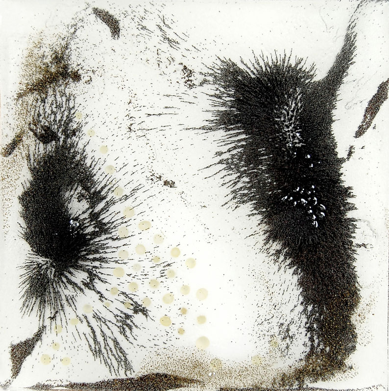 Dendrite, mixed media (including iron filings, joint compound, silica, etc.) in resin, 5 x 5 inches