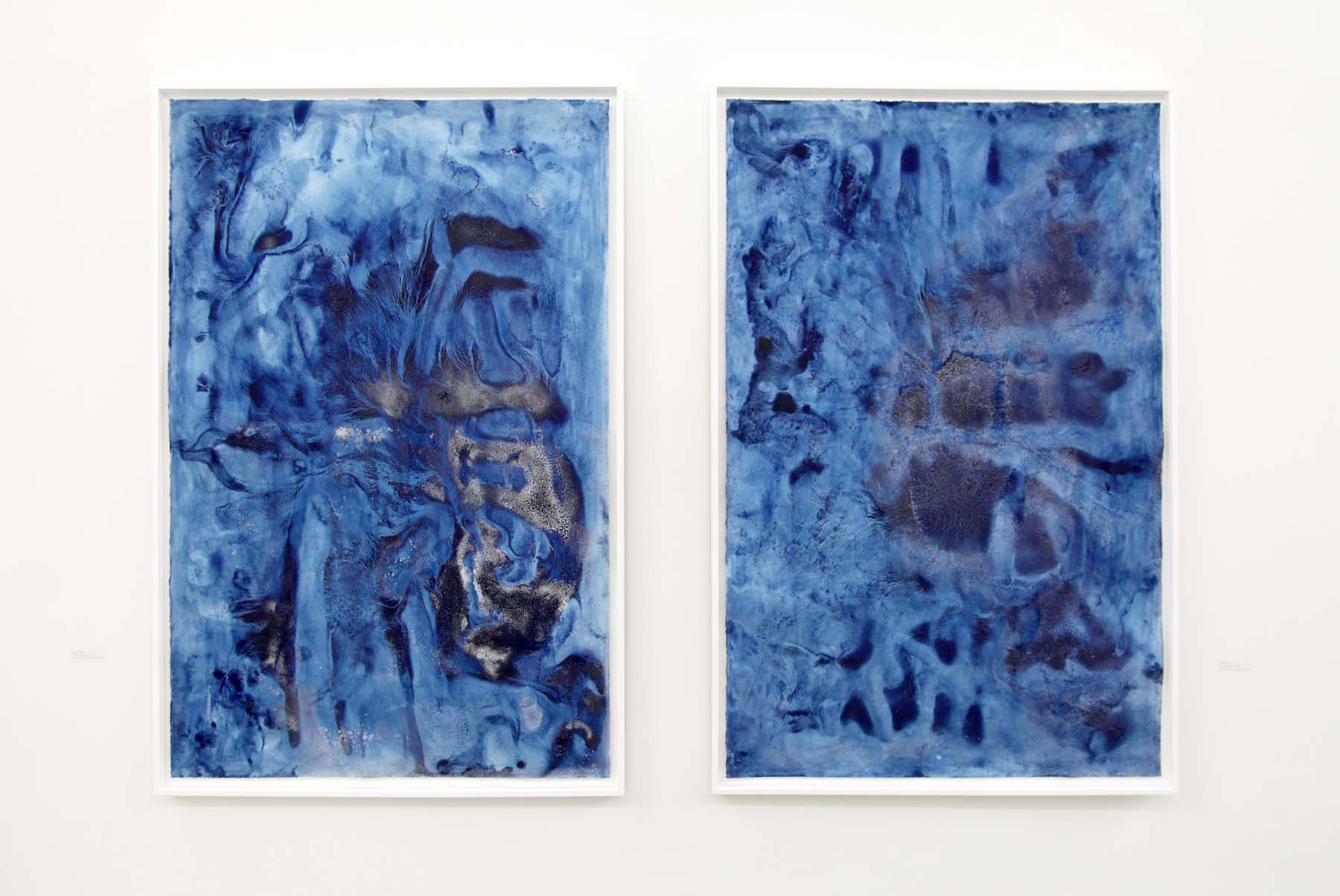 Frost Garden I & II, installed in "...Landscape" exhibition at dc3 Art Projects, (each panel measures 4 feet wide x 6 feet tall)