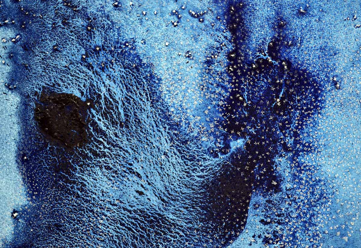 Frost Garden I (detail)