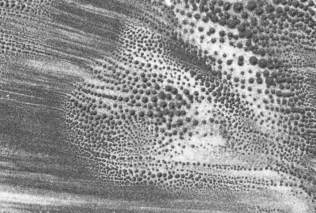 sound image (photographic documentation) - patterns in caborundum created by sound vibrations, approximate area pictured 20 x 30 inches