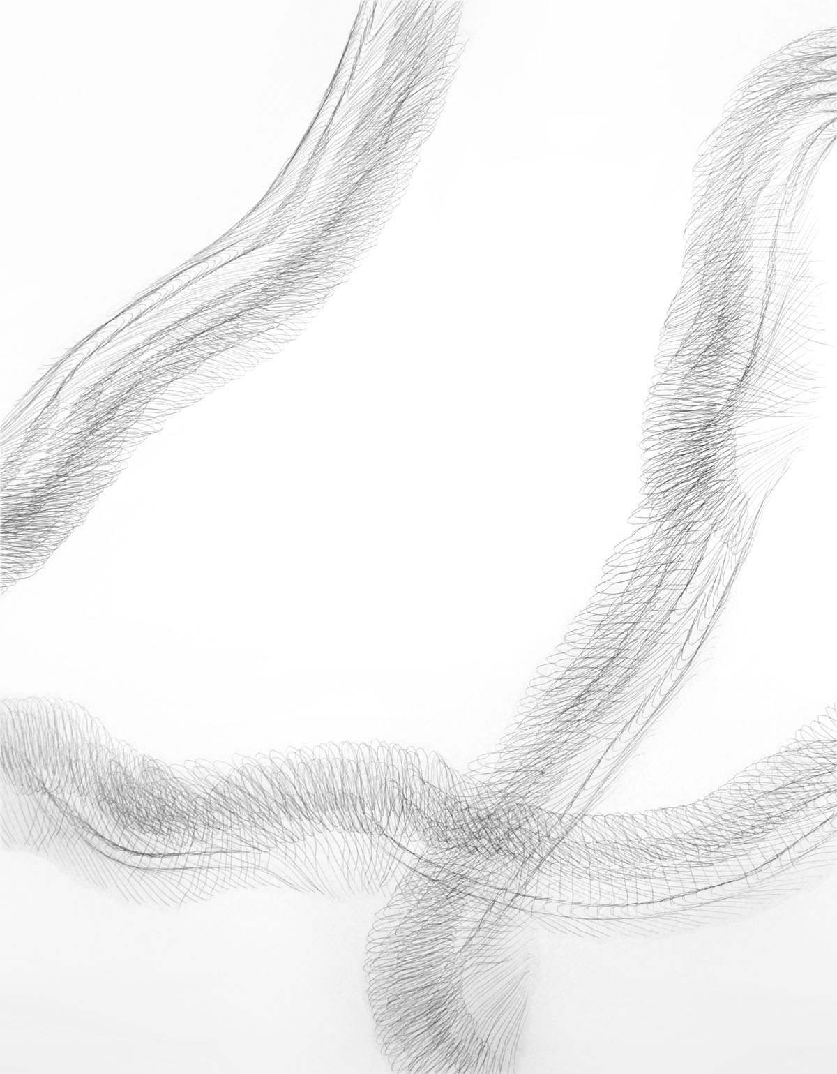 Hand Trace, graphite on paper, 30 x 40 inches