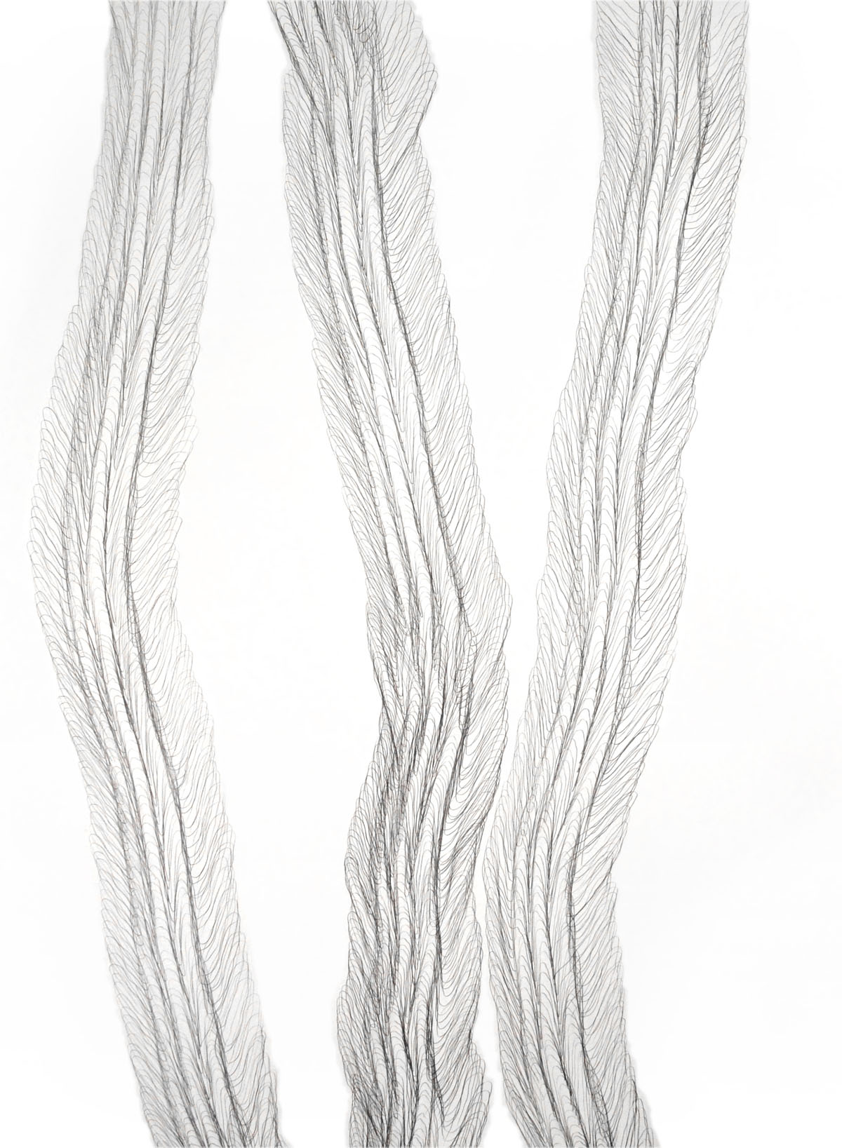 Trace, graphite on paper, 30 x 40 inches