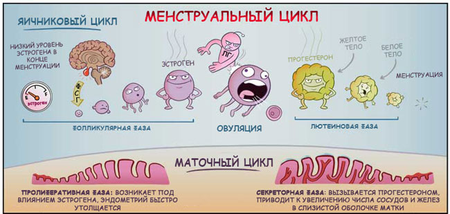 Таблетки контрацептивы как выбрать. Как выбрать противозачаточные таблетки и не причинить вреда здоровью. Гормональная внутриматочная система