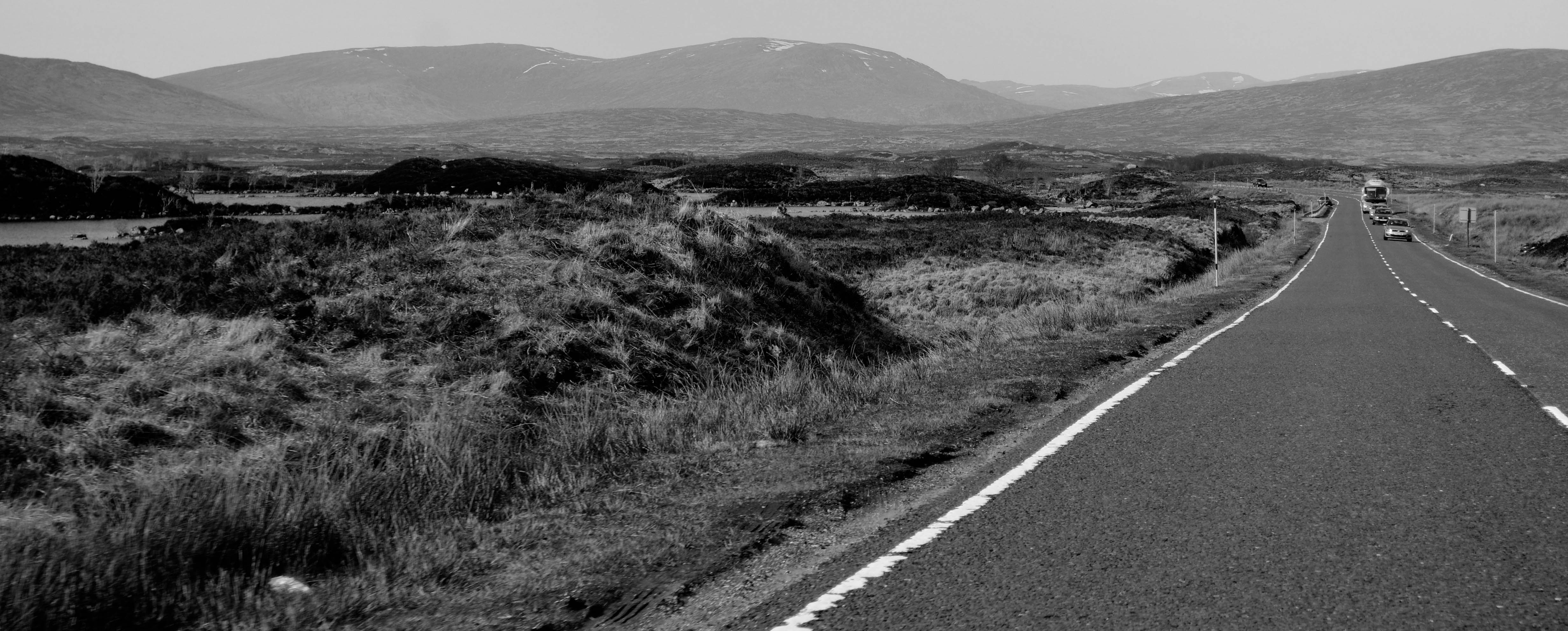 DSC_0104