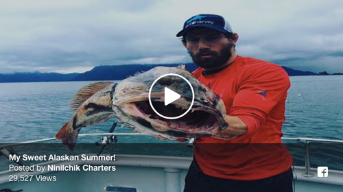 Alaska Fishing Charters Alaska Halibut Fishing Kenai Peninsula