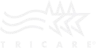 logo-4