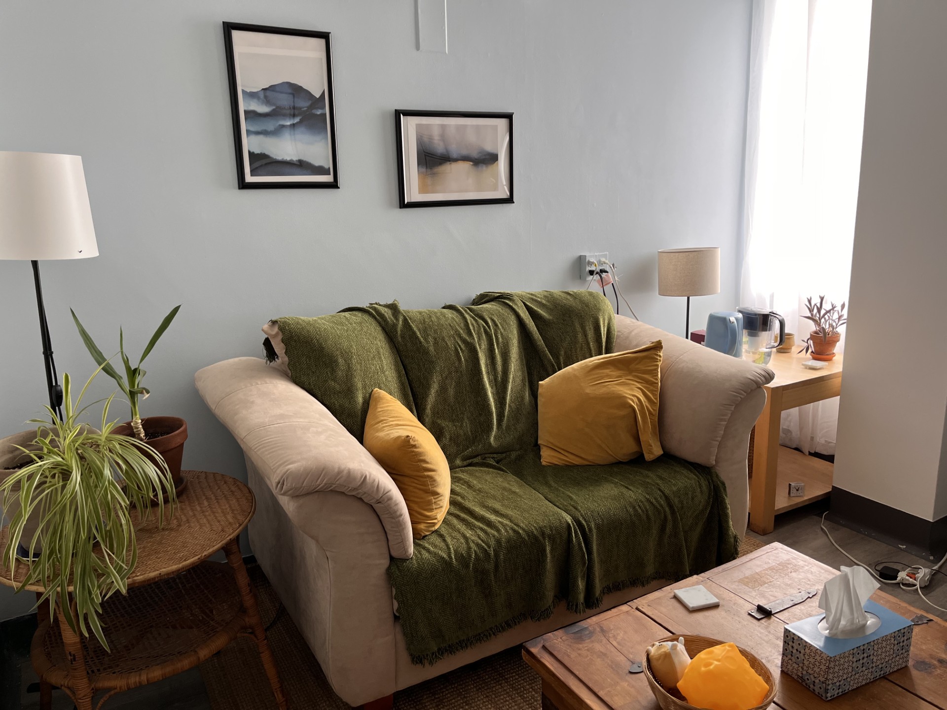 Photo of my office space. There is a couch with tall, padded arms. The couch has two extra cushions and a blanket on it. The office also has a coffee table with fidget toys, plants, and a tea corner.