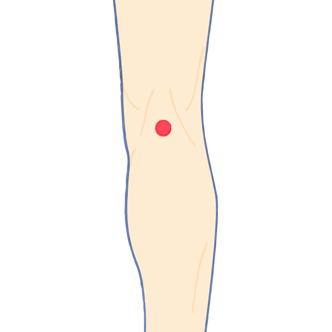 ツボ押し】妊娠中期の腰痛に：委中｜妊娠・出産・マタニティ情報サイト - ニンプス