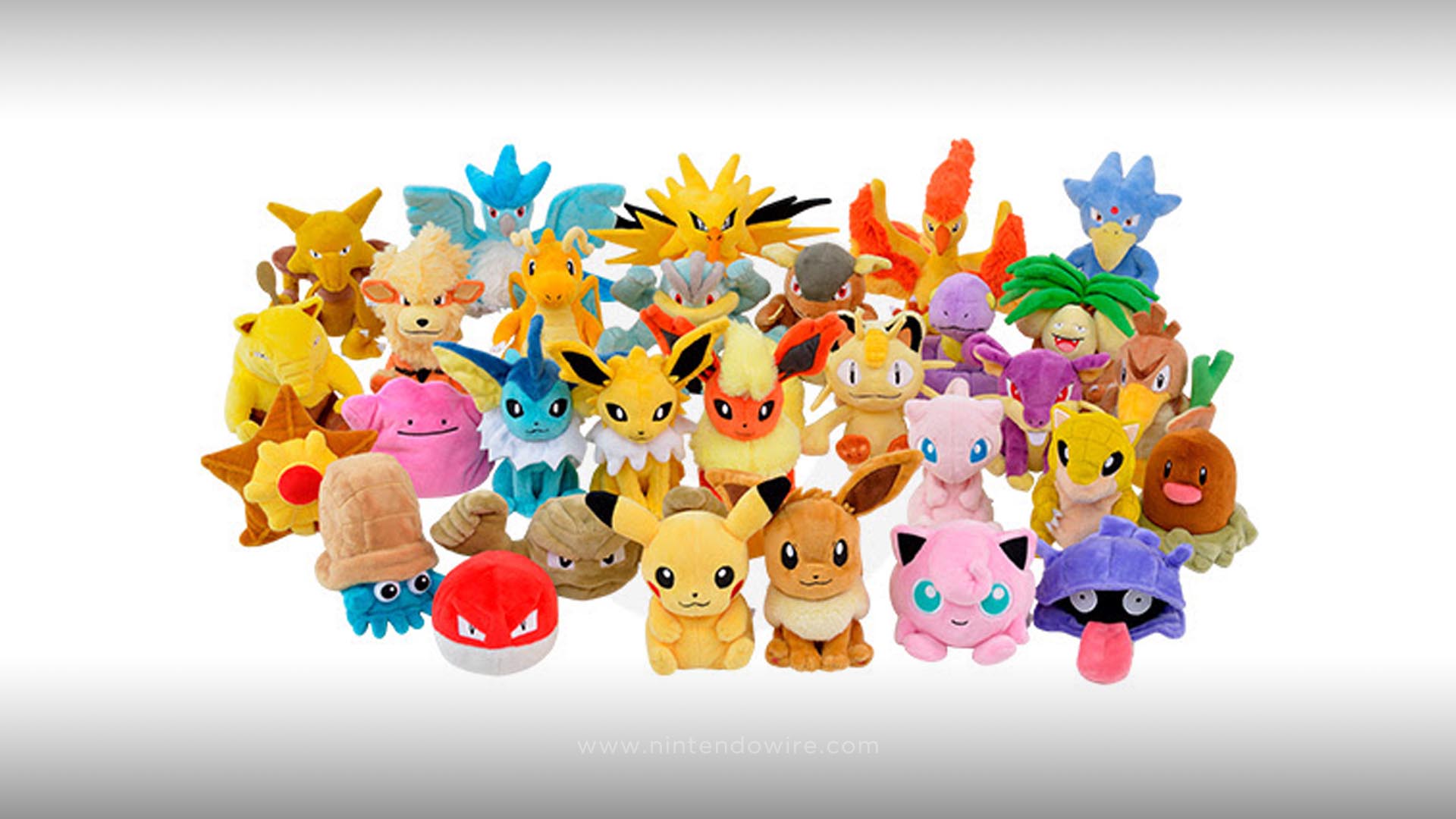 Discover more barn owl facts including how to attract barn owls! First wave of PokÃ©mon Center's Sitting Cuties plush