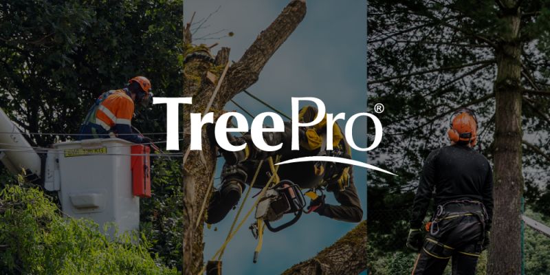 Service 2 Treepro - Best Landscape Illustrations in 4K