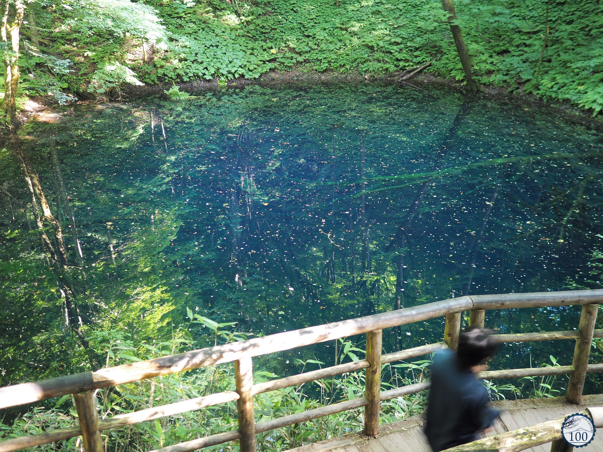 Heisei#51] Shirakami-Sanchi, mountain range and virgin forest