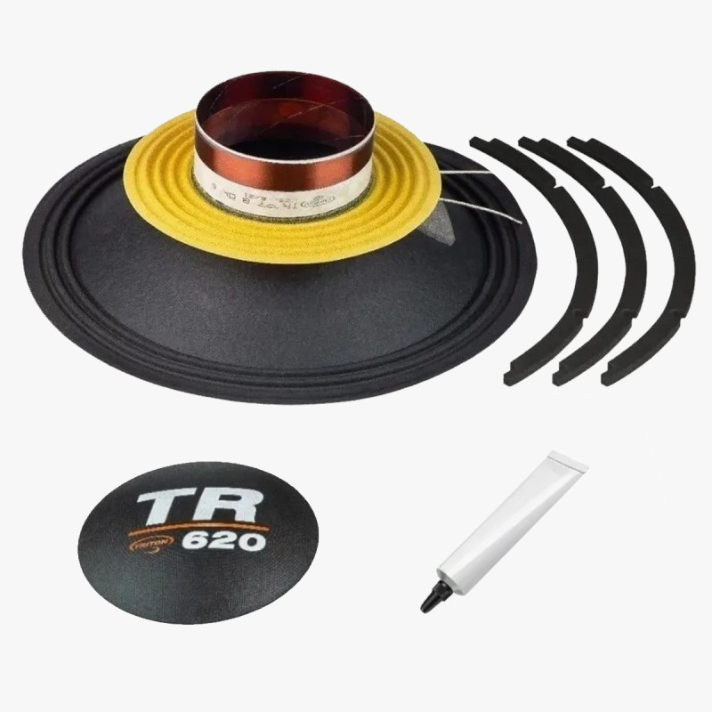 Kit reparo woofer triton 620