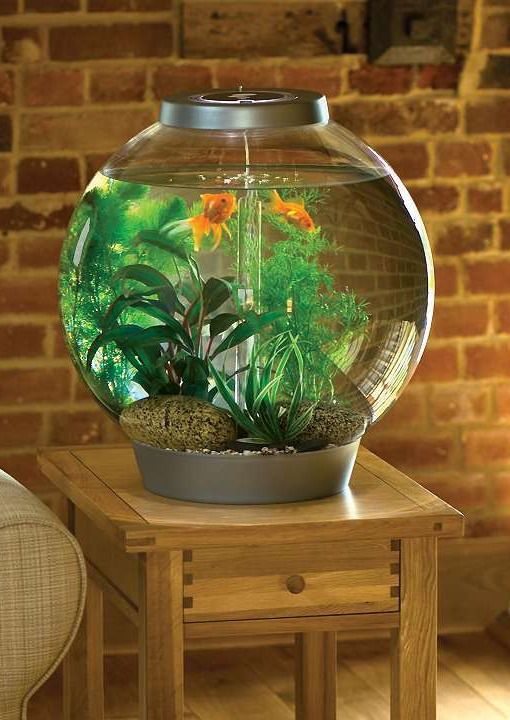 Is aquarium water testing really necessary? Nitrogen Cycle Fish Care