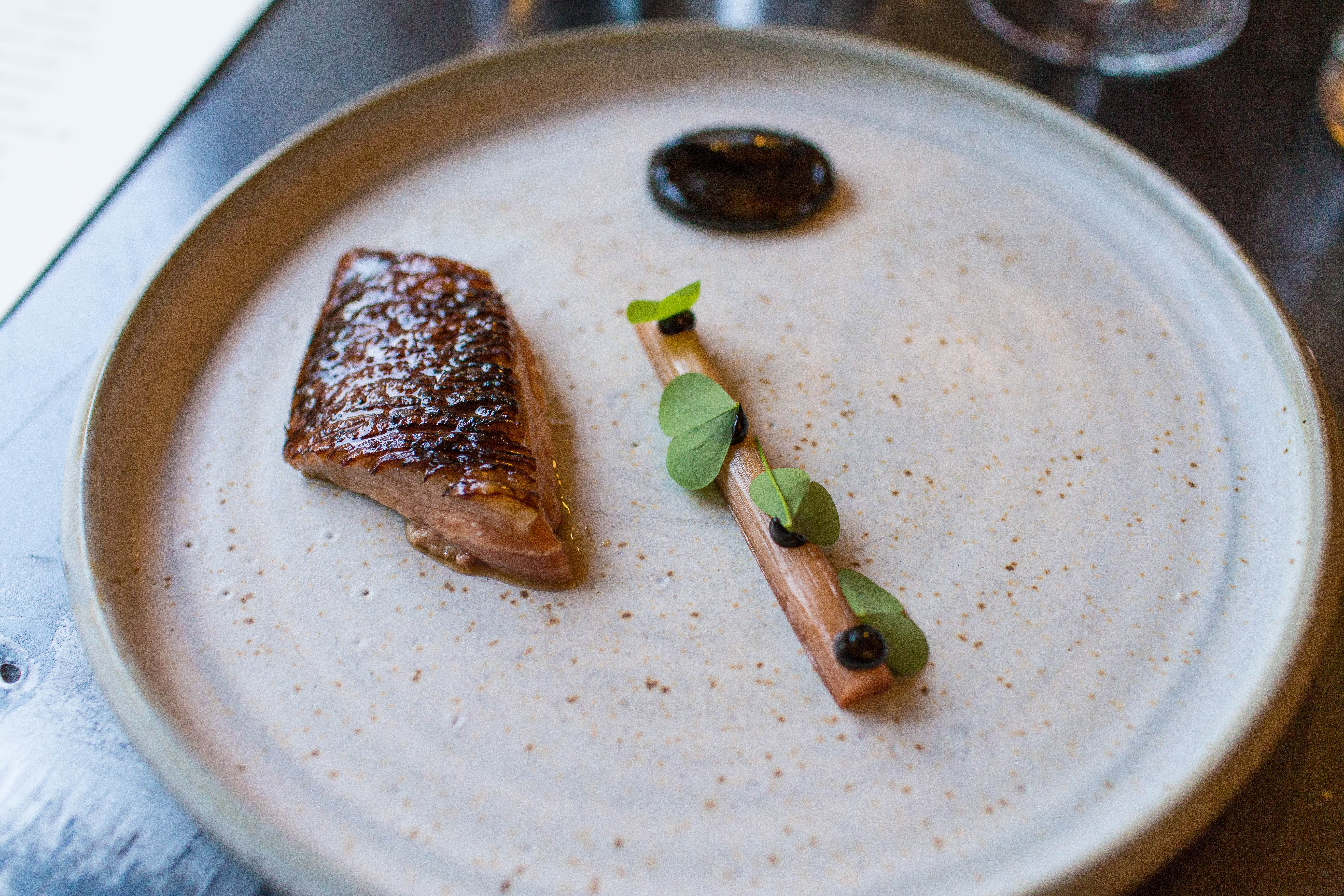 course four - duck w. rhubarb and black garlic