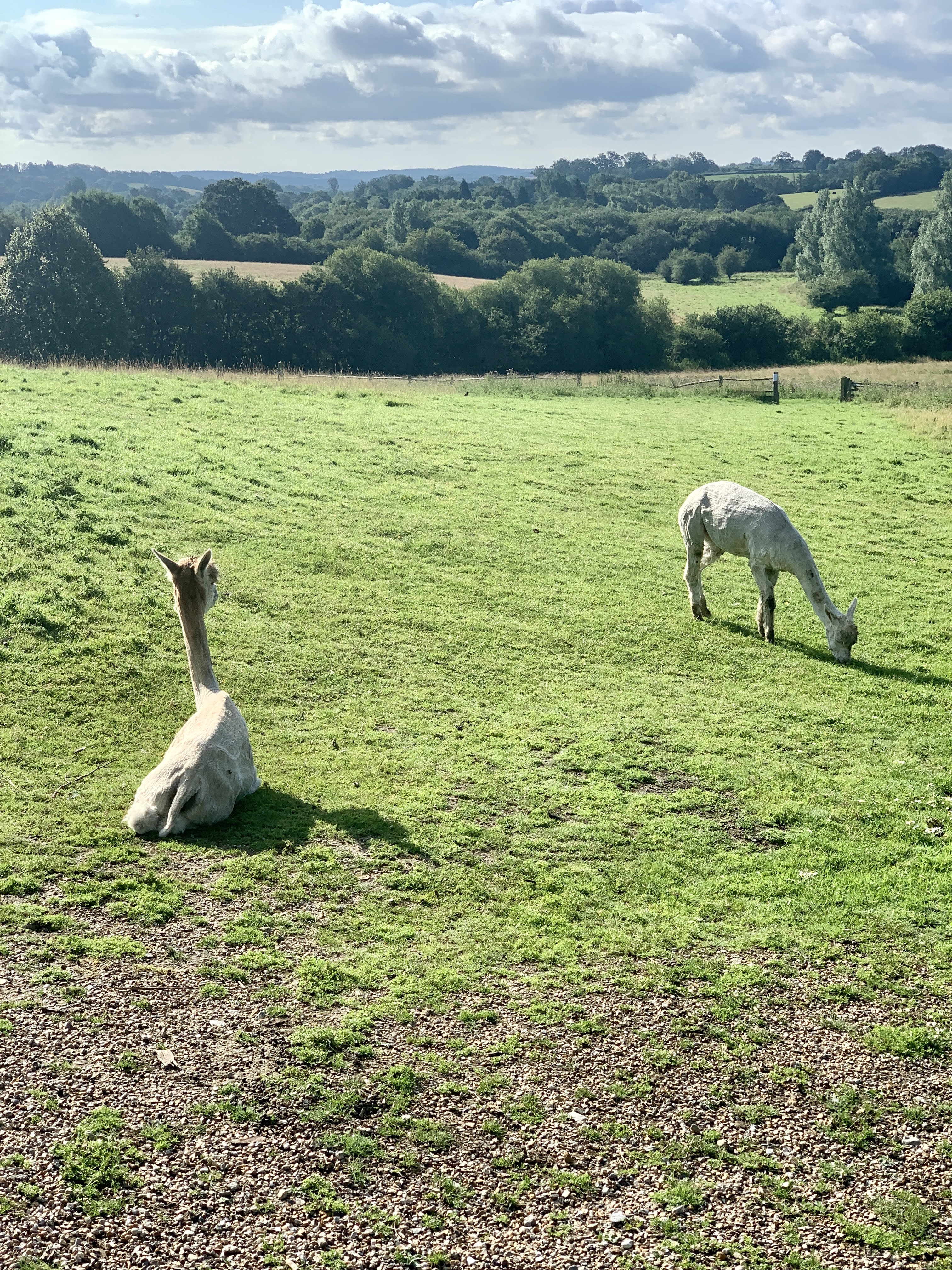 New House Farm Country Retreat, Etchingham