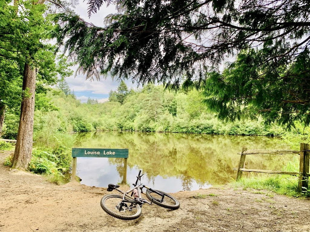 Bedgebury National Park