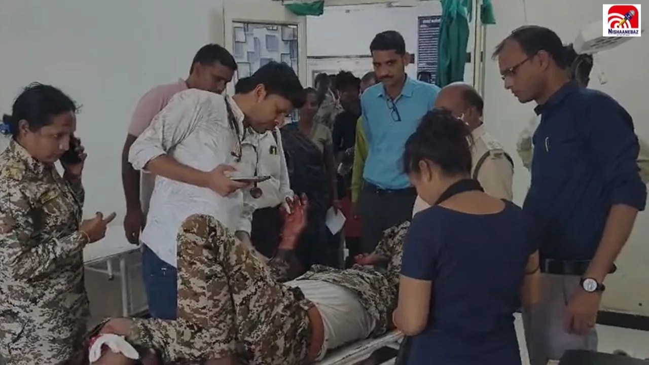 MP News: अवैध लकड़ी जब्त करने गई वन टीम पर हमला, डिप्टी रेंजर का पैर टूटा, कई वनकर्मी घायल