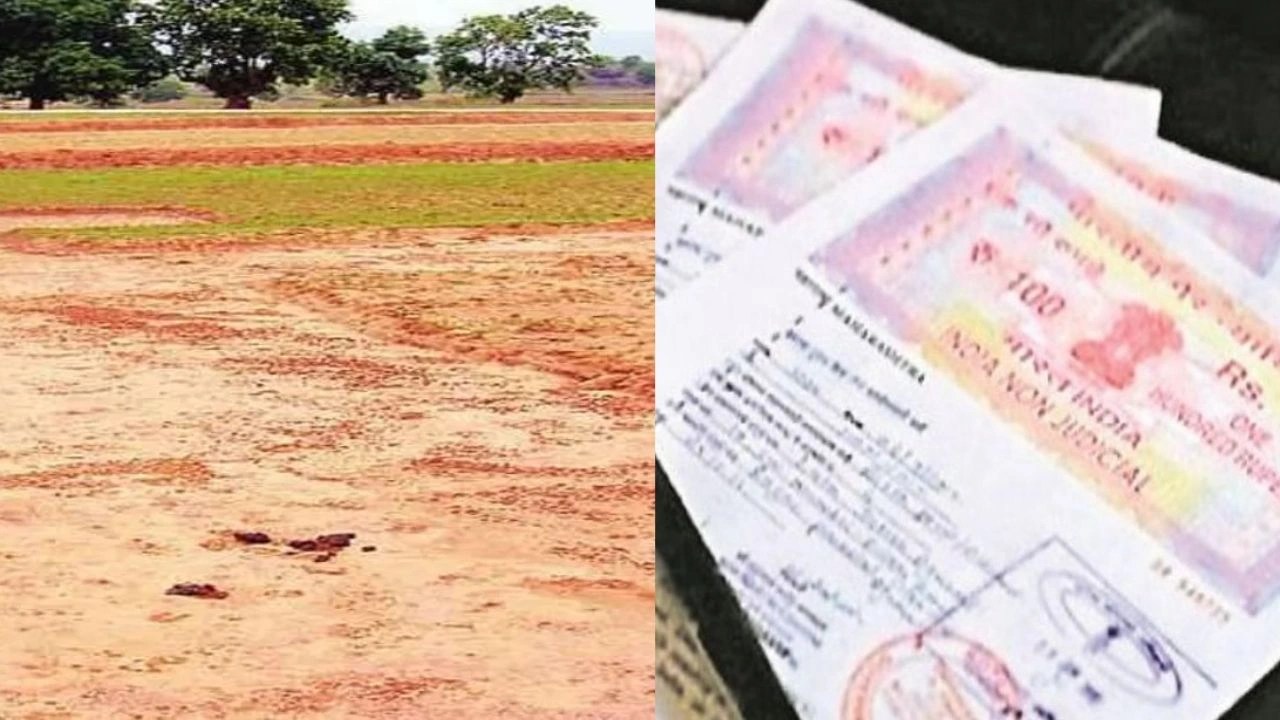 MP Faceless Registry: MP में फेसलेस रजिस्ट्री को लेकर बड़ा बदलाव,अब दूसरे जिले का सब-रजिस्ट्रार भी कर सकेगा पंजीकरण