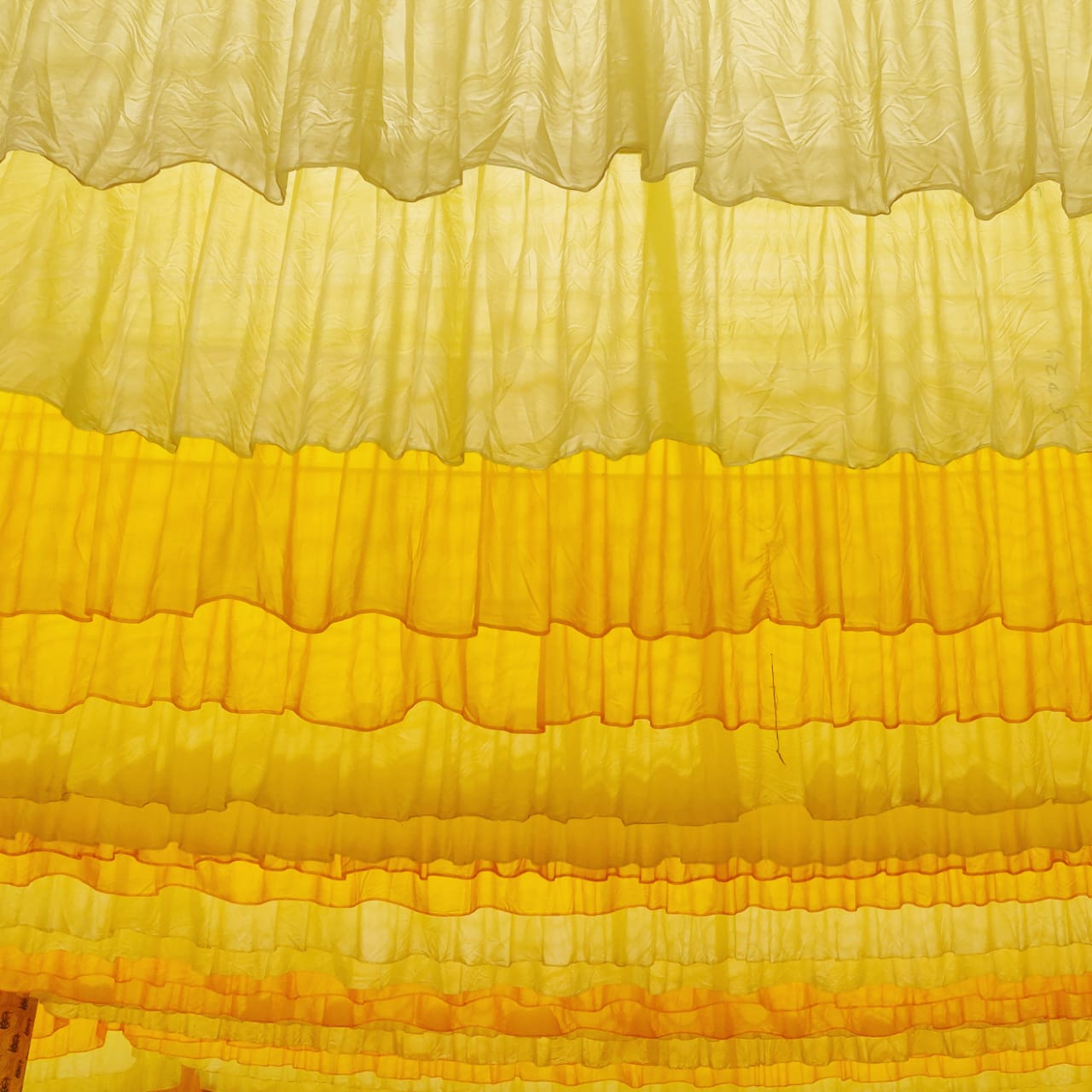 WhatsApp Image 2023-01-21 at 10.20.23 AM (1)