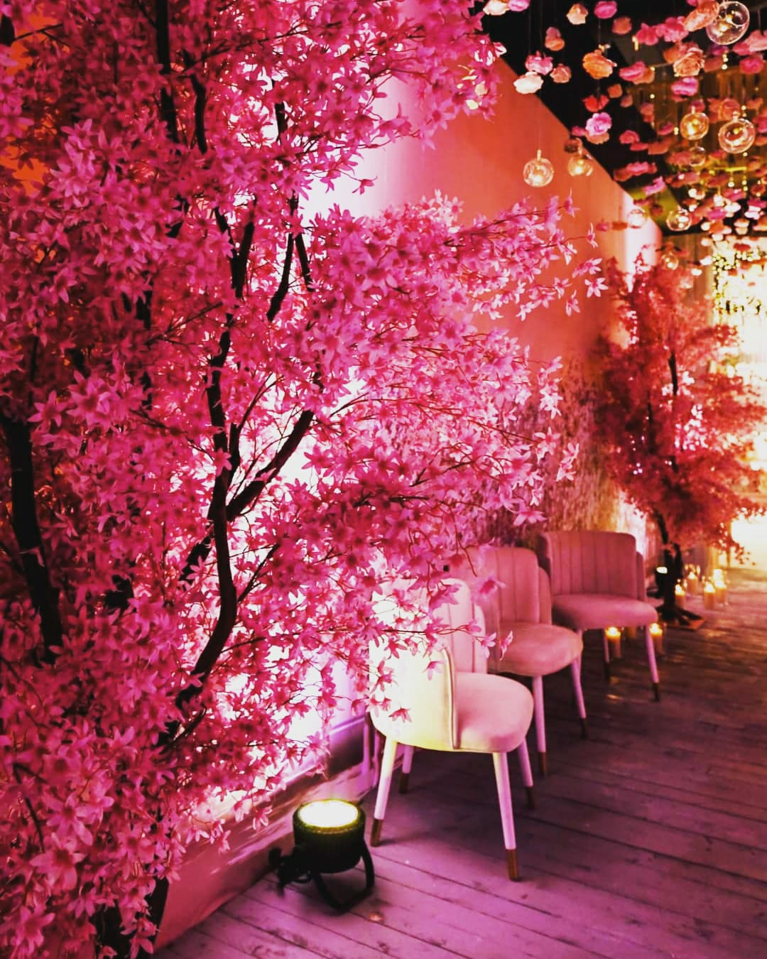 WhatsApp Image 2023-01-21 at 10.20.26 AM (1)