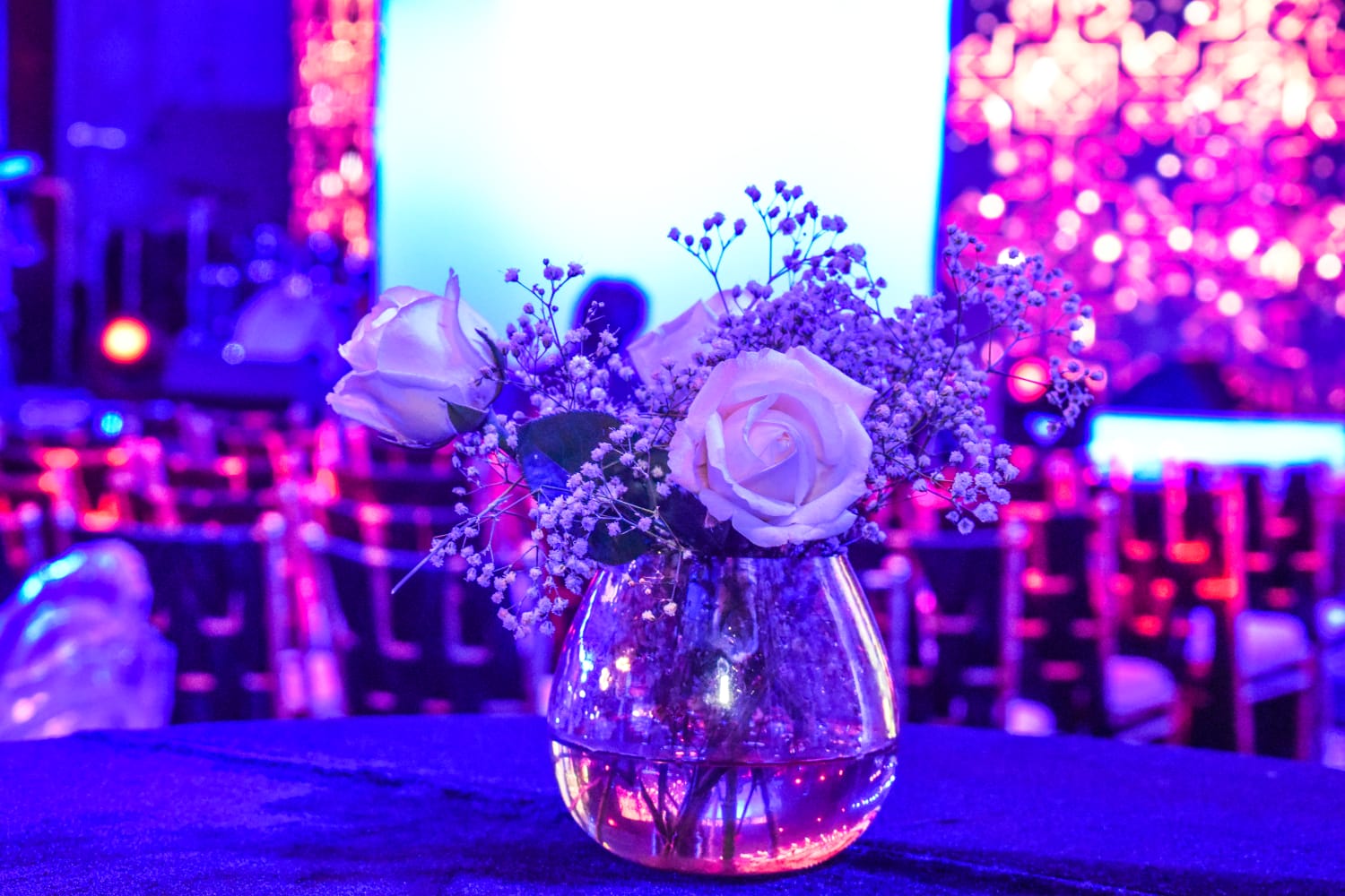 WhatsApp Image 2023-01-21 at 10.20.29 AM (1)