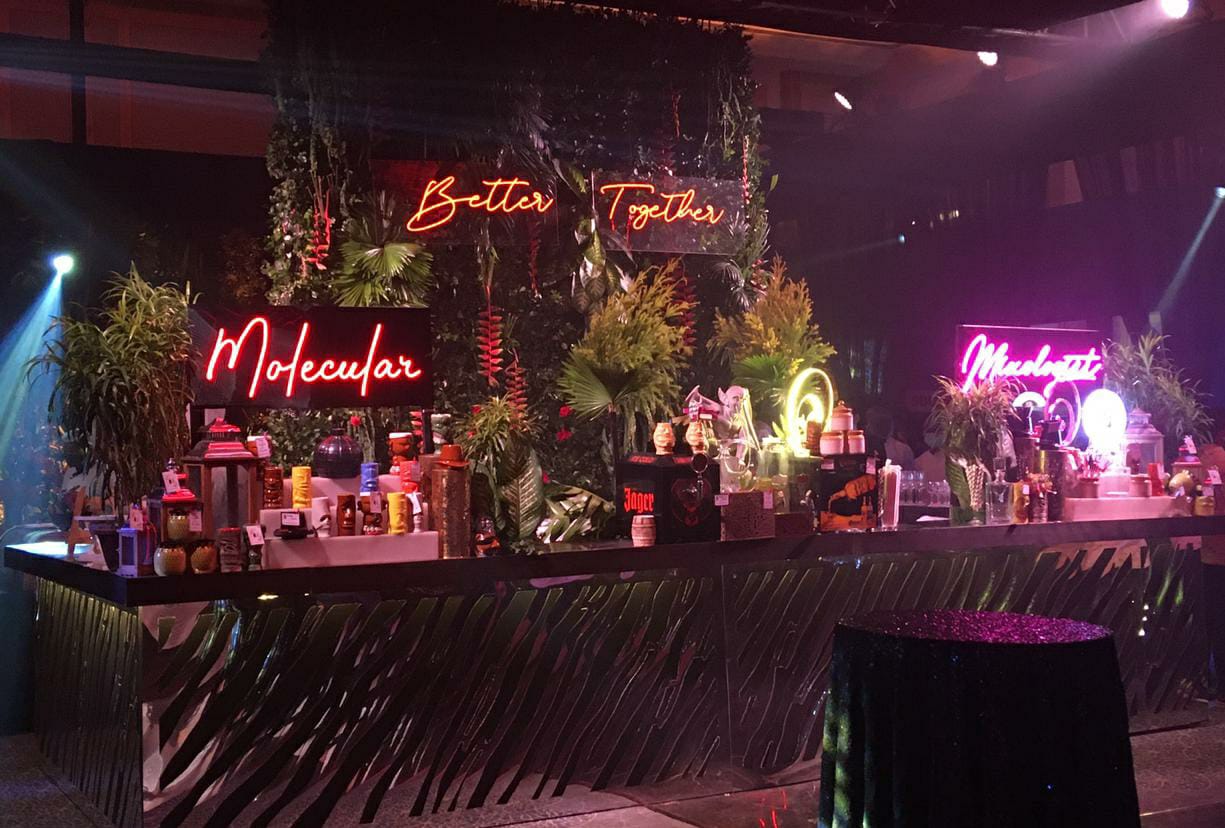 WhatsApp Image 2023-01-21 at 10.20.41 AM (2)