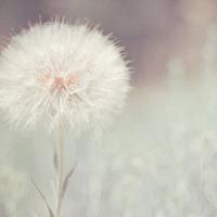 Nispgithub Github Io - Best Light Designs in Desktop