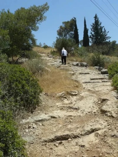 טיול מס’ 3 – “דרך הקיסר”: פריחה צבעונית והיסטוריה עתיקה