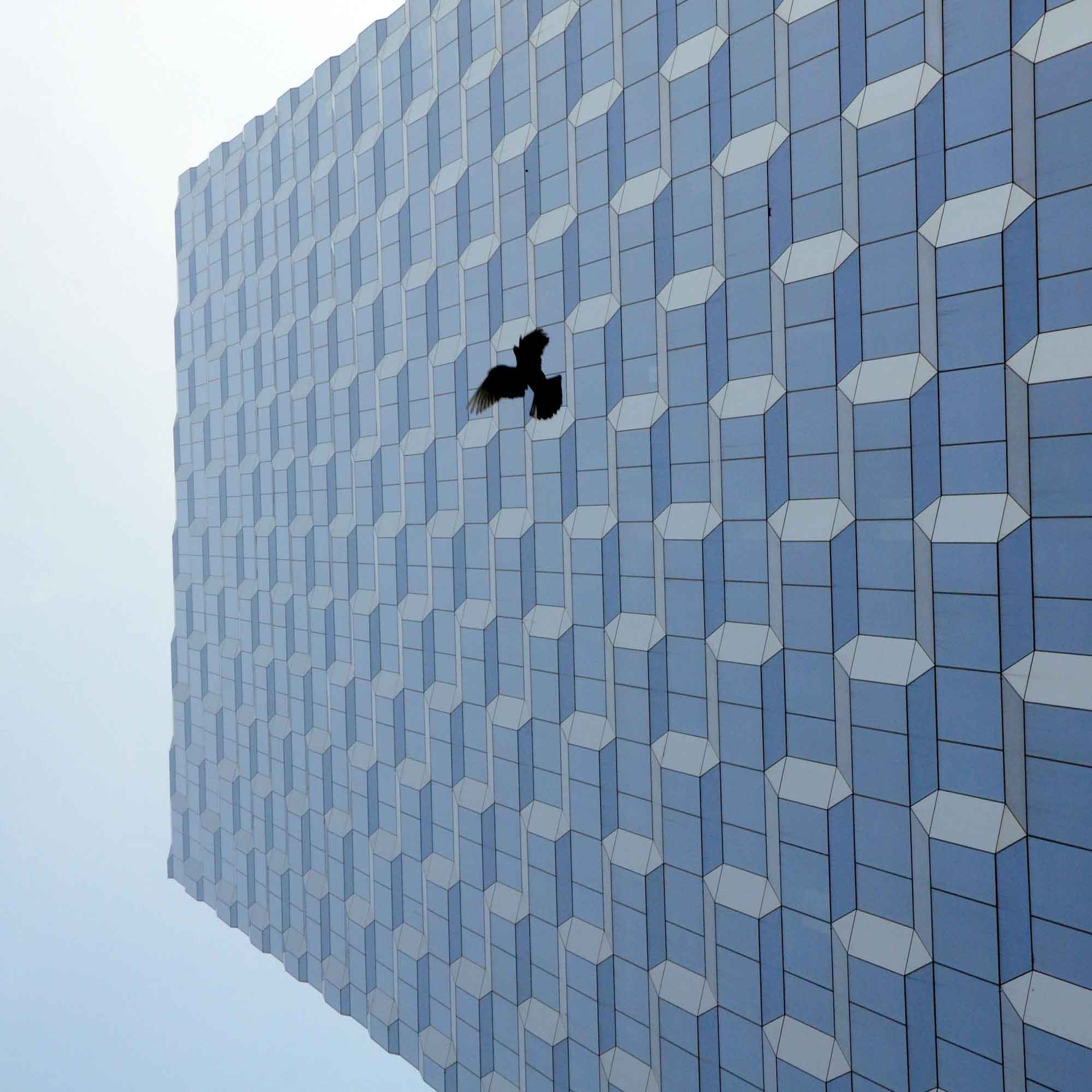 Pollo Lavín http://www.pollolavin.com/