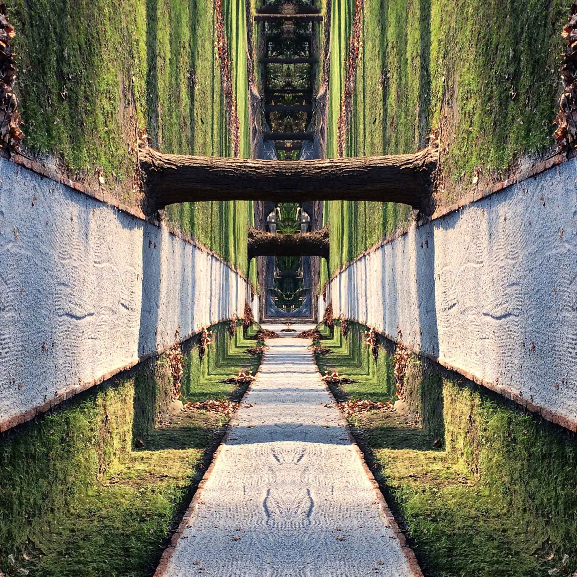 Pollo Lavín en Mirrorgram http://www.pollolavin.com/