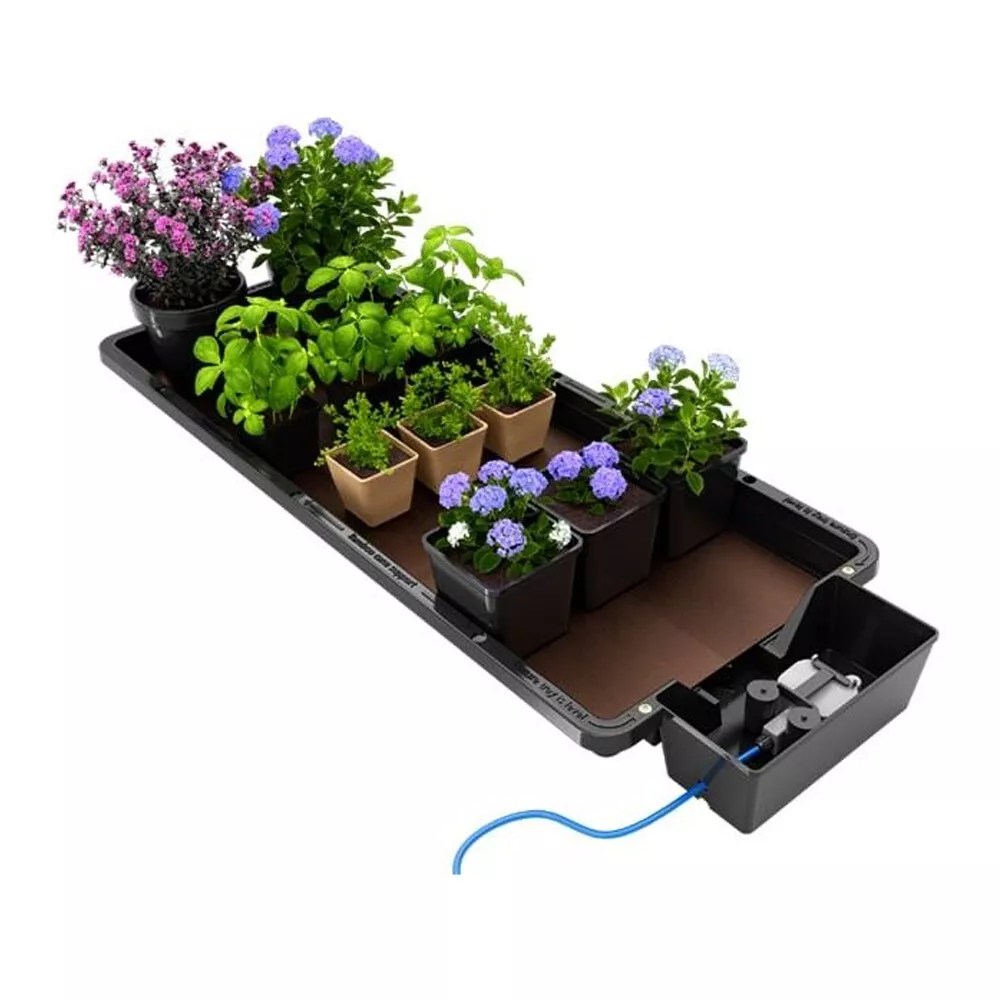 Ebb and Flow Hydroponic
