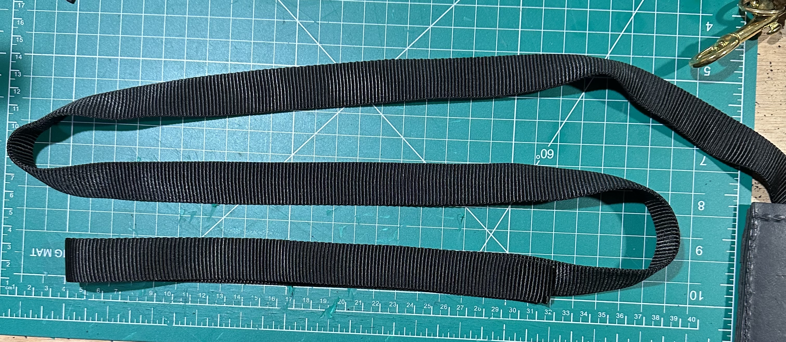 Nylon Leashes and Lines
