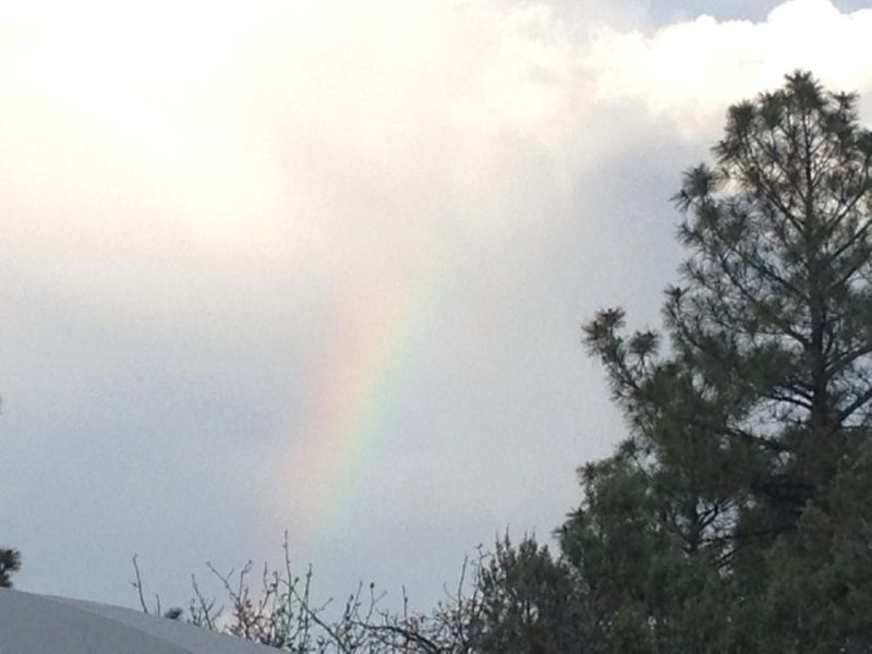 Github Njyecats Html Https Njyecats Github Io Html - Premium Dark Photo Gallery - 4K