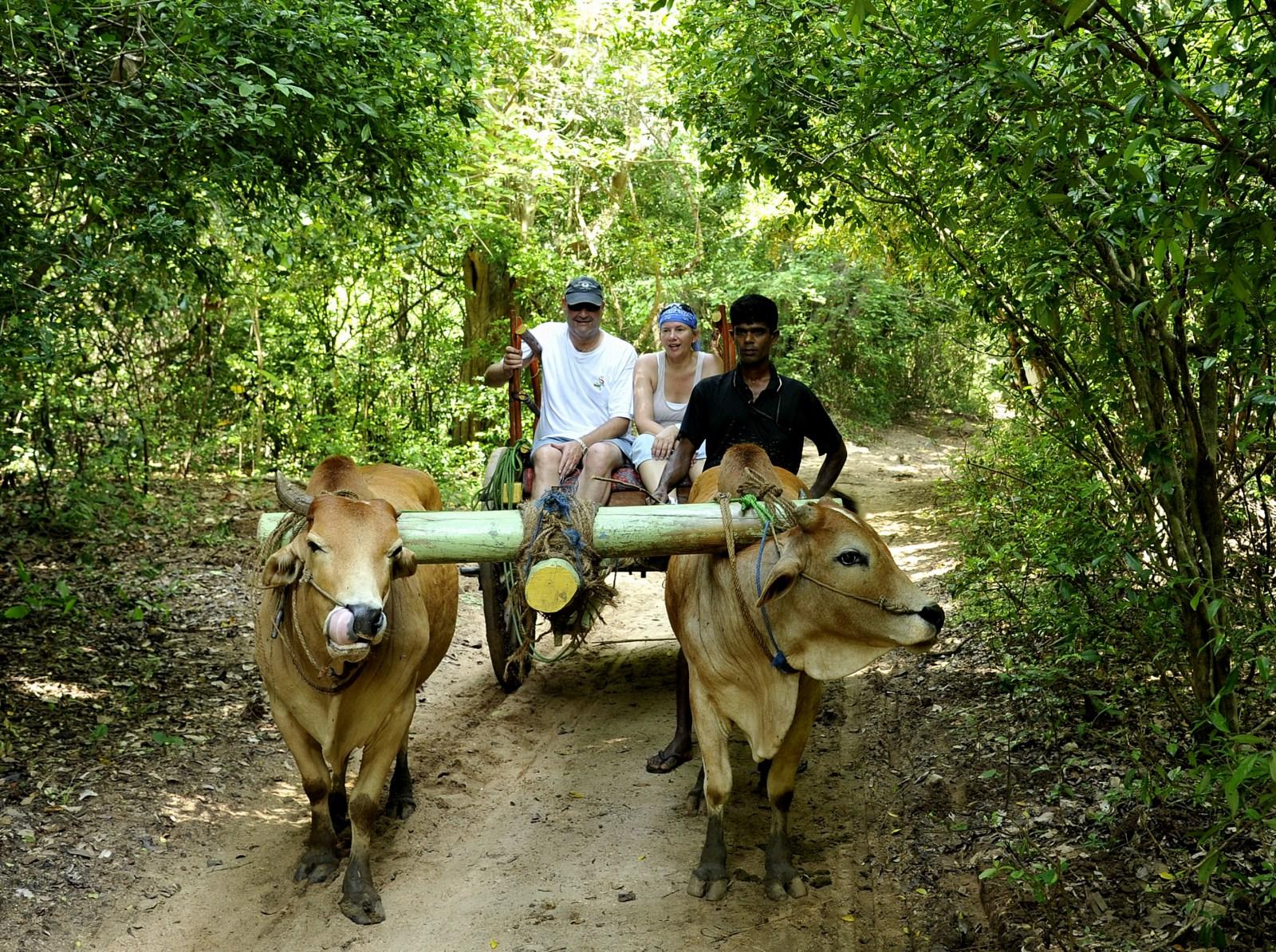 Furthering The Frontiers of Destination Management & Travel