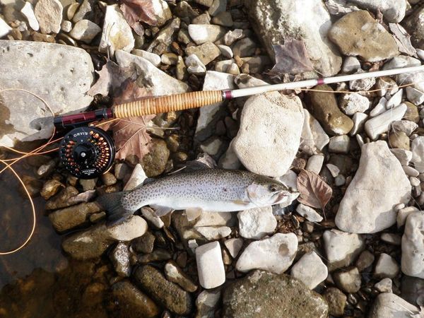 Fishing Otter Creek & Staying Overnight - Friday Nov 16th