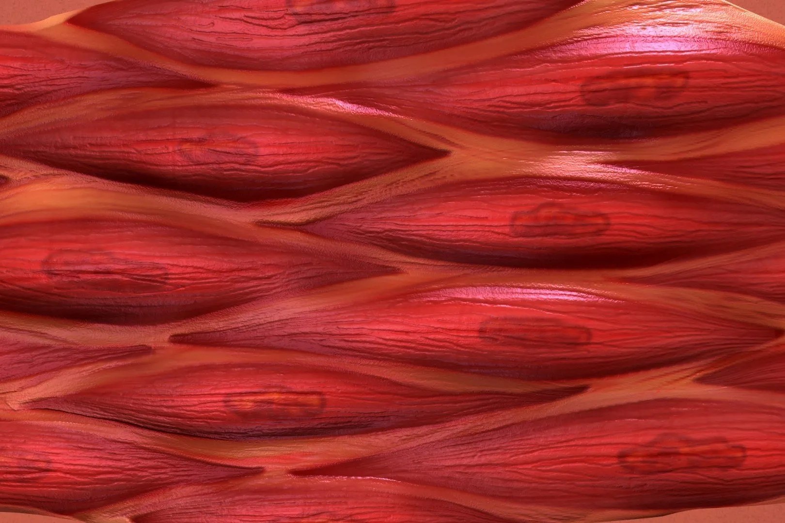 Softwave Therapy Alexandria Total Care Chiropractic 1035 Moreland Rd, Alexandria, KY 41001