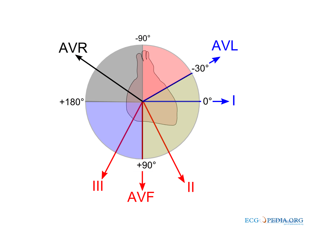 Qrs axis