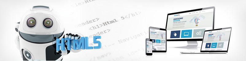 HTML5 Development - Neologix