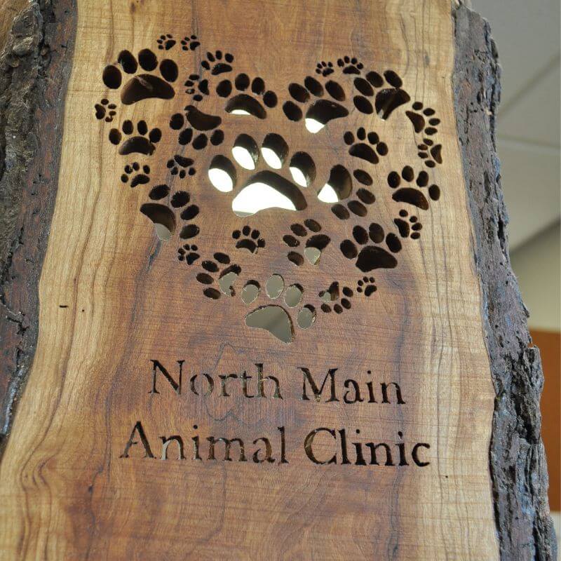 About north main animal clinic