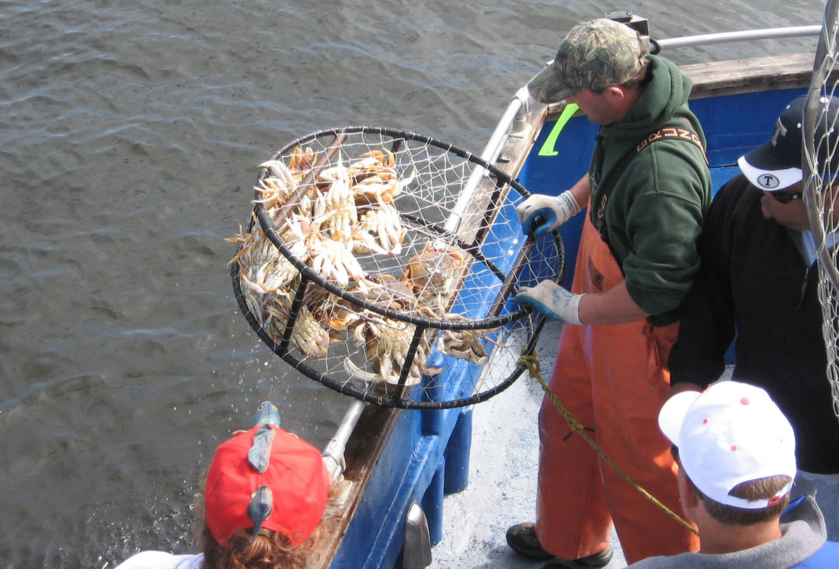 Nms Charters Oregon Coast Fishing Charters