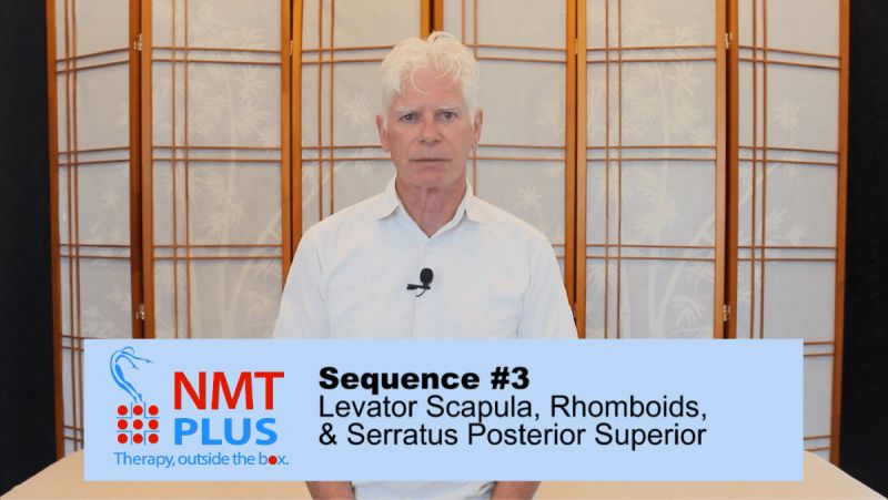 Enroll In The Nmt Plus Program All 35 Modules - Modern Gradient Image - HD